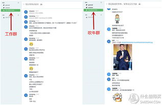 原創(chuàng)新人省小錢辦大事 群暉DS216 II網(wǎng)絡(luò)存儲NAS服務(wù)器搭建數(shù)據(jù)中心靠譜嗎？