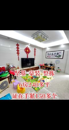 走進「龍哥探房」 用精準信息咨詢解鎖置業新體驗